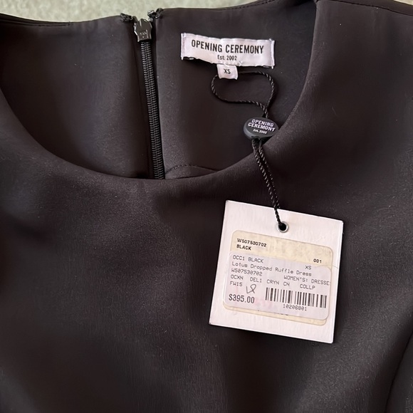 Opening Ceremony Lotus Dropped Ruffle Hem Dress - Picture 8 of 9